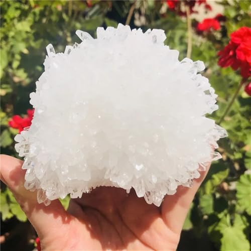Cluster de quartz cristal de roche premium, pierre droite de collection pour décoration 600g - 5