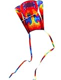 Hengda Kite For Kids 31-Inch Colorful Parafoil Kite