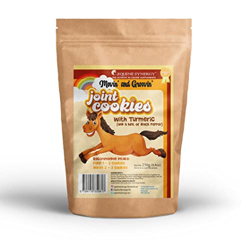 Equine Synergy Movin and Groovin JOINT COOKIES with TURMERIC for Maintaining Optimal Mobility