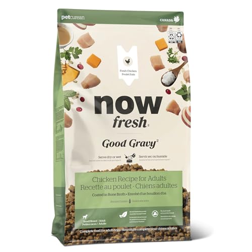 Now Fresh Good Gravy Dry Dog Food Chicken & Ancient Grains