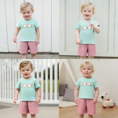 Image of Bonangber Toddler Baby Boy Summer Clothes Fruits Embroidery Short Sleeve T Shirt Plaid Shorts Sets Cute Boys Summer Outfits