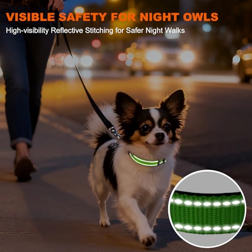 Image of Taglory Reflective Dog Collar for Puppies, Gentle and Safe for Night Walks