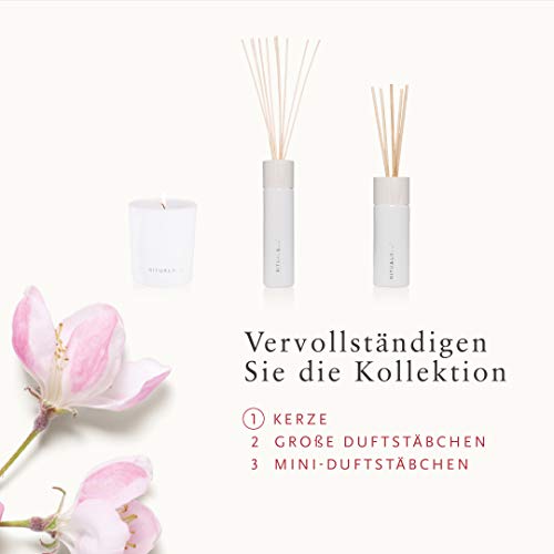 RITUALS Kerze The Ritual of Sakura Scented Duftkerze 290g / NEU kaufen Sonnenpflege