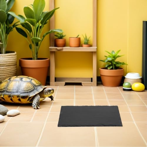 Plataforma de piedra para reptiles antideslizante con rampa de escalada 8