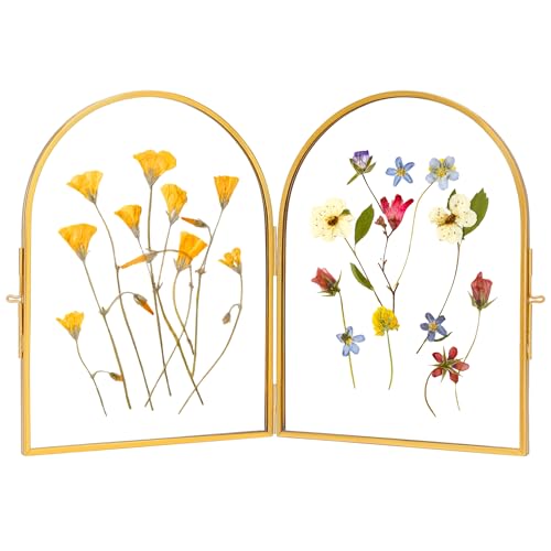REDHUGO Double Glass Frame for Pressed Flowers Handmade Pressed Flower Frame Hinged Tabletop Brass Photo Frames Dried Flower Display Folding Picture Frame for Home ArcShaped Gold 68 Inches