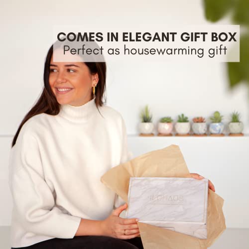 Ilohaus Succulent Pots Set Of 6, Plant Pots Indoor, Succulent Planters, Small Plant Pots, Cactus Pot, Cute Plant Pots, Small Flower Pots, Small Succulent Pot, Small Planter Set #TOP5