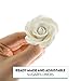 Global Sugar Art Tea Rose Sugar Cake Flowers, White, Large Wired, 12 Count by Chef Alan Tetreault