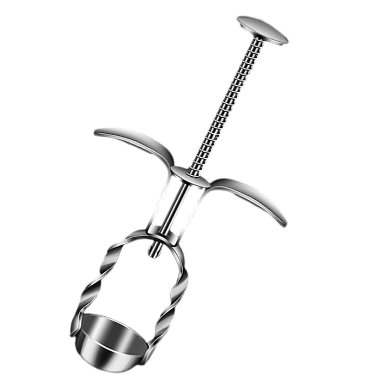 DECHOUS Jujube Pitter Tool Cherry Core for Home Use Ergonomic Design for Effortless Portable and Easy to Clean Cherry Pitter for Kitchen and Outdoor Activities