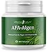 Produktbild effective nature AFA Algen Tabs - Beste Rohkostqualität - Presslinge aus 100 % reinem, veganen AFA-Algen-Pulver - Wildsammlung - hoher Proteingehalt - kontrolliert in Deutschland - 400 Tabletten