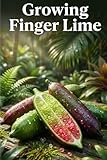Growing Finger Lime: A complete step-by-step guide to growing Finger Limes - from variety selection, soil preparation and planting to care, pollination and harvesting