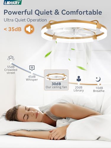 Image of LEDIARY 24 inch Ceiling Fans with Lights and Remote, Modern Low Profile Ceiling Fan, 3 CCT, Stepless Dimmable, Fandelier Flush Mount Fan Light, 6 Speeds, DC Motor, App & Remote Control for Bedroom(Gold)