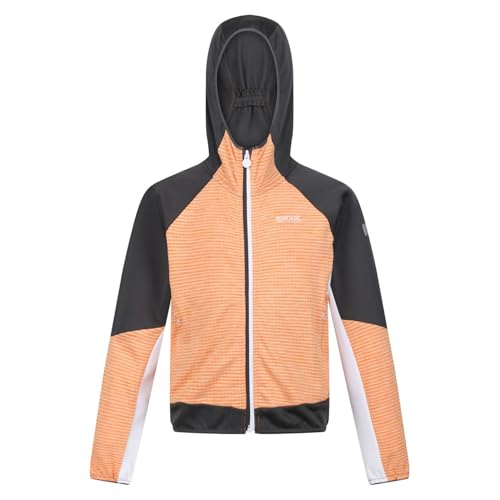 Childrens/Kids Prenton II Hooded Soft Shell Jacket (3-4 Years) (Apricot Crush/Seal Grey)
