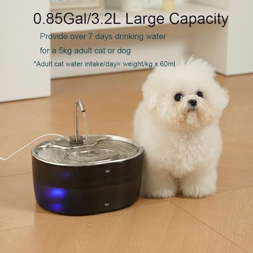 Fuente de agua automática para gatos de acero inoxidable miniatura 5