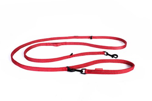EZYDOG(イージードッグ) [正規代理店品] ヴァリオ6ライト レッド 超小型-中型犬用 200cm