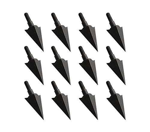 ISPORT Screw Metal Archery Arrowheads Broadheads 2 Fix Blade for Hunting 115grain 12pk