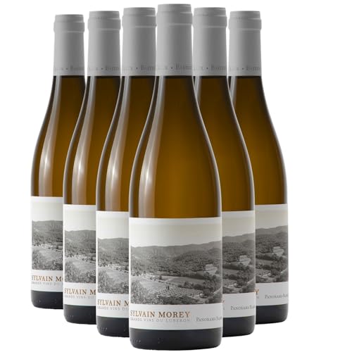 Luberon Panorama Blanco 2023 – Bastide du Claux – Orgánico DOP Valle del Ródano Luberon Panorama Blanco 2023 – Bastide du Claux – Orgánico DOP Valle del Ródano