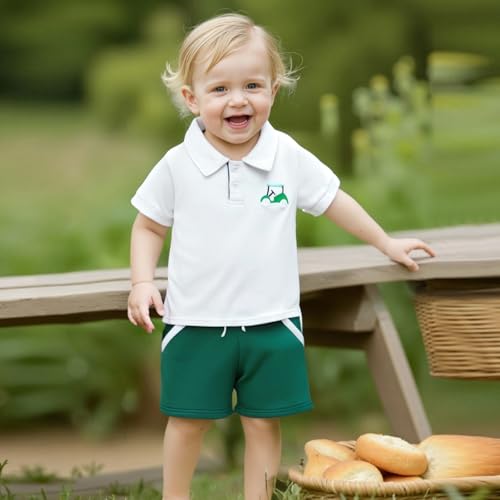 Toddler Baby Boy Summer Outfit Short Sleeve Embroidery Golf Cart Polo T-Shirt Shorts Hole in One Golf Birthday Clothes3