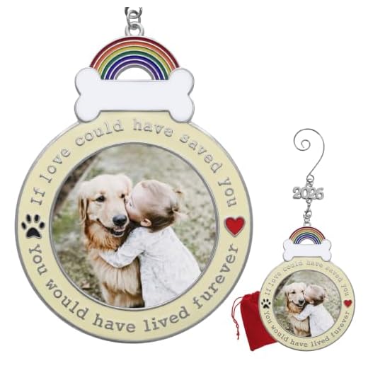 Dog Memorial Keepsake Ornament - 2022 Dated Christmas Picture Holder - If Love Could Have Saved You - Paw Prints and Heart Design - Loss of Pet Gifts - Gift/Storage Bag Included