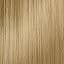 9NNG Light Intense Golden Blonde