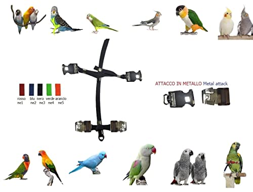 Harnais perroquet élastique pour promener votre Conure de soleil en liberté - 3