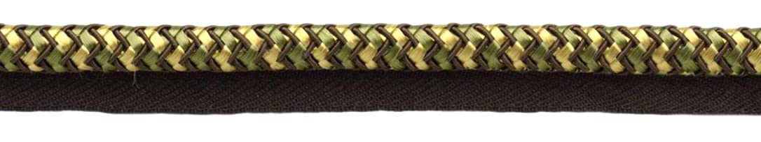 Cordon tissé brillant marron olive moka de haute qualité pour finitions couture haut de gamme