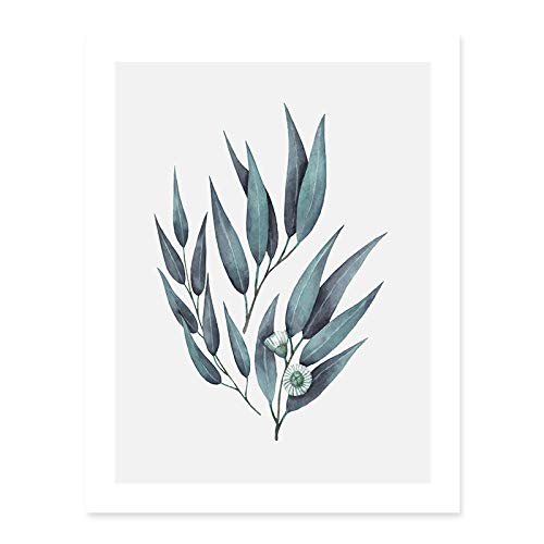 Tableaux sur toile eucalyptus 50x70 cm mur vide habillé