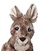 The Petting Zoo Kangaroo Stuffed Animal, Gifts for Kids, Wild Onez Zoo Animals, Kangaroo Plush Toy 9 inches