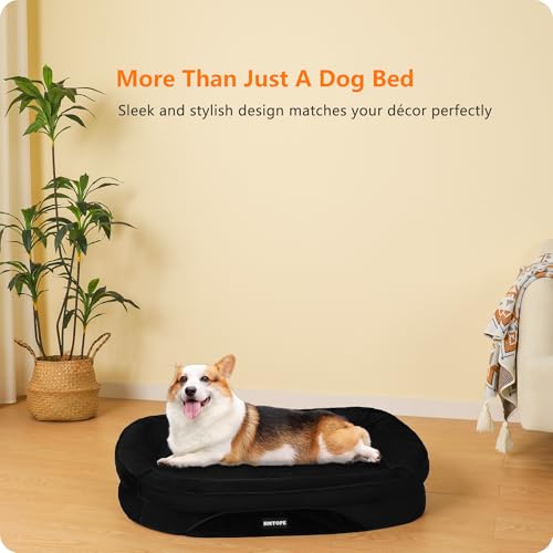 HMTOPE Orthopädisches Hundebett, Hundesofa, Vierseitiges Nackenrolle Kissen, rutschfeste Unterseite Hundekorb, Abnehmbar und Waschbar, Kleine Hunde, Mittelgroße Hunde, 90 x 71 x 15 cm, Schwarz