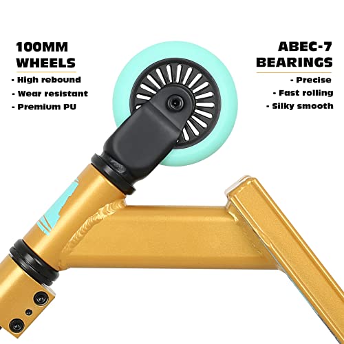 Joycruise Pro Entry Level Stunt Scooter