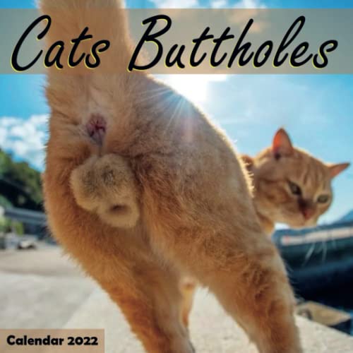 GAG GIFT: Cats Buttholes Funny Calendar 2022: Best/Hilarious Gag Present for Women, Men, Girls, Teens, Co-workers, Friends, Family, ( Naughty gag gifts for couples, Christmas Gag Gifts)