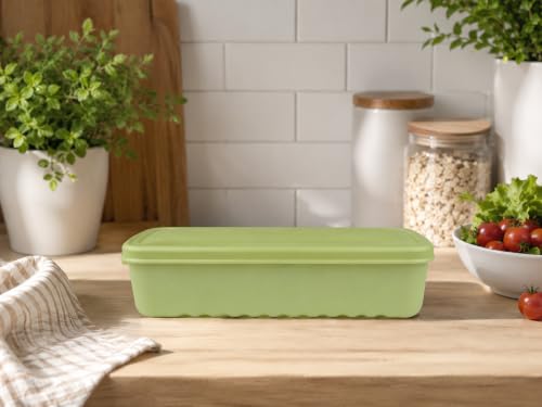Image of LocknLock Fresh Block 2.2L Food Storage Containers (Pack of 1) | Airtight Fridge Storage Box with Air Vent System | BPA-Free Vegetable, Fruit & Grocery Storage Container