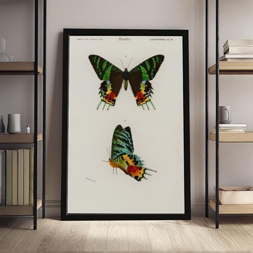 Poster rétro papillons style rustique toile poétique pour la maison - 4