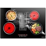 Noxton 30' Electric Cooktop with Downdraft Vent, 4 Burner Radiant Stove Top, 6000W, 240V Hardwired, 9 Heat Settings, 99-Min Timer, Pause & Child Lock