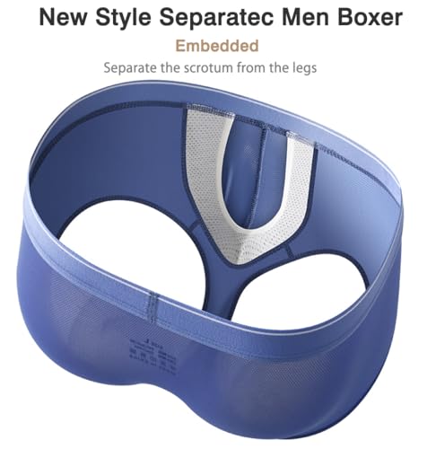 Men's Fly Pouch Underwear Breatable Boxer Briefs Separated Pouch Mesh See-through Trunks2