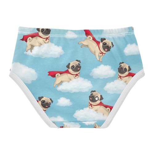 Cartoon Pugs Cloudy Blue Sky Toddler Underwear Girls, Cotton Underwear for Girls, 2T–8 Years2