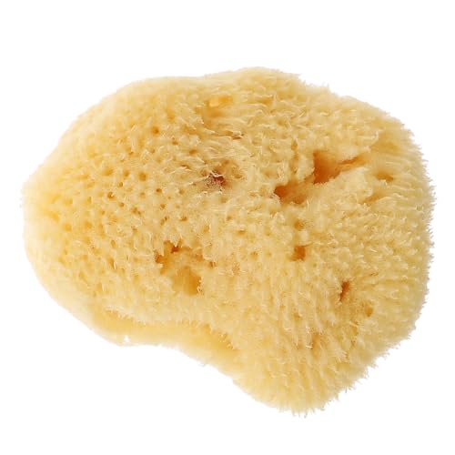 Healvian Esponja para Pintar Arte Natural 15-20 Pulgadas Herramienta de Textura Acuarela para Manualidades y Grafiti Esponjas de Pintura Artistas Forma Aleatoria
