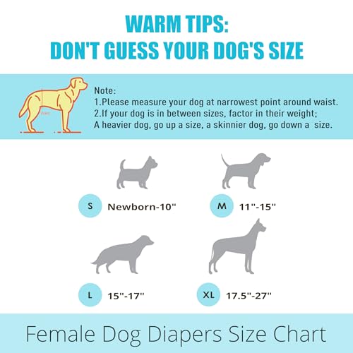 Image of wegreeco Dog Diapers Female (3 Pack), Highly Absorbent Puppy Doggie Dog Diapers for Female Dogs Period, Washable Doggy Diapers for Dogs in Heat, Small Medium Large Size (Colorful, Large)