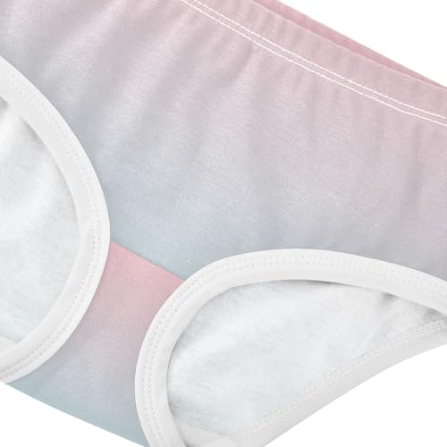 Joisal Blush Pink Blue Gradient Panties for Girl Toddler Girls Underwear Cotton Personalized Kids Undies Briefs 2t4