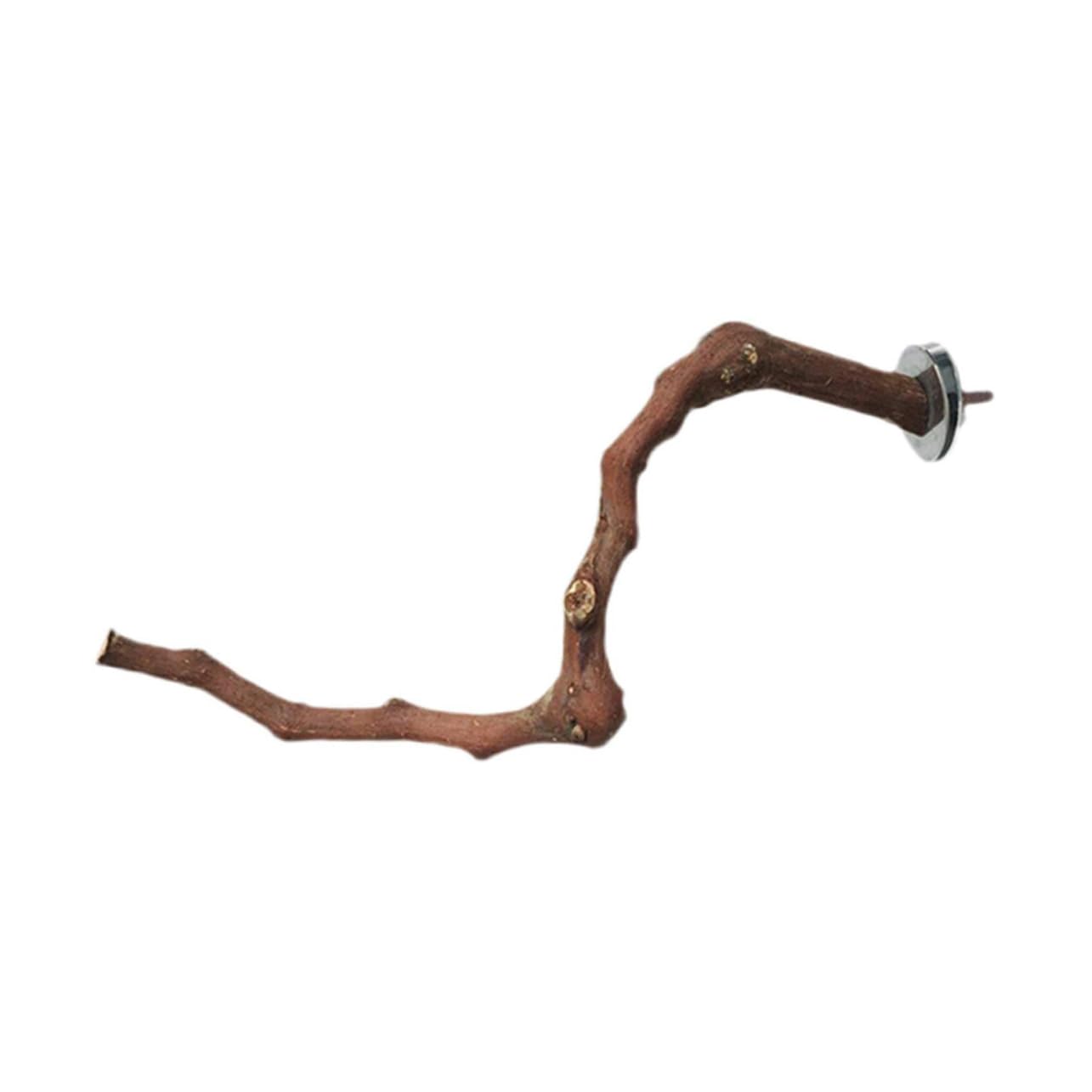 DOITOOL 3pièces Perchoir à Oiseaux Bois Naturel pour Perroquets Jouet Entraînement pour Oiseaux Accessoire De Cage Soulagement De Ennui Aléatoire