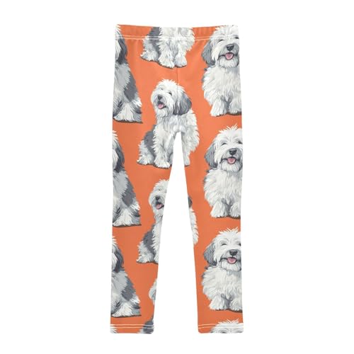 English Sheepdog Girls Leggings,Workout Leggings for Girls Toddler Athletic Leggings Size for 3-10T2