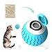 PAKESI Smart Interactive Cat Toy Ball Wicked Ball,Automatic Moving Cat Ball Toys with Catnip,USB Rechargeable,Best Gift for Your Cat/Kitty,Blue
