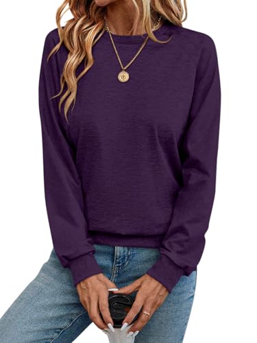 Syellowafter Womens Long Sleeve Shirts Crewneck Fall Tops Casual Loose Fit Basic Pullover Top