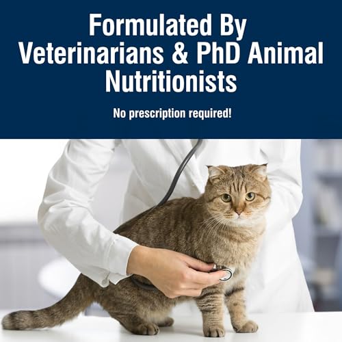 Blue Buffalo True Solutions Total Support Chicken Dry Cat Food, 3.5 lb - image 8