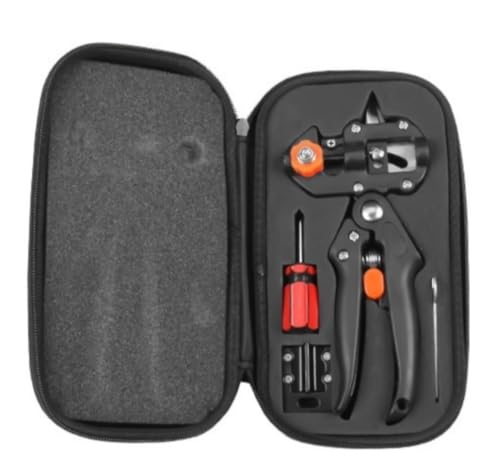 WOLKKAMړIʎږAږ؃iCtƃtBZbgA|A莝cږ؃c[ (B)