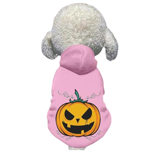 nEB  RX`[ L  RXv  ߑ ybg ̃nEBRX`[ ϐg ʐ^ 킢 _炩 J{` 풅 Halloween Lp (sNCL)