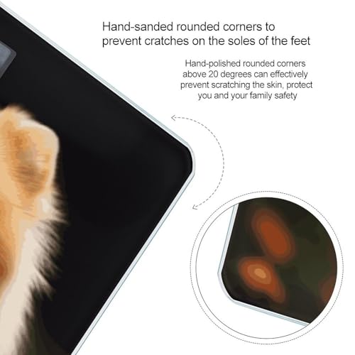 Báscula Digital de Baño Pomeranian con Plataforma Amplia miniatura 4