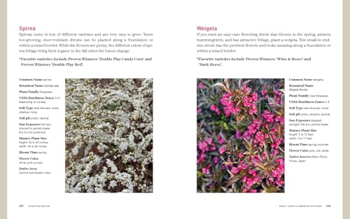 The Bricks 'n Blooms Guide to a Beautiful and Easy-Care Flower Garden - Image 9