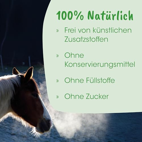 cdVet BronchialVital 500 ml – flüssiges Ergänzungsfuttermittel zur Unterstützung der Atemwege und Immunabwehr für Hunde und Katzen