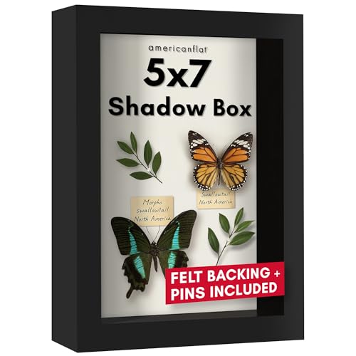Americanflat 5x7 Shadow Box Frame with Shatter-Resistant Glass - Silhouette Collection - Small...