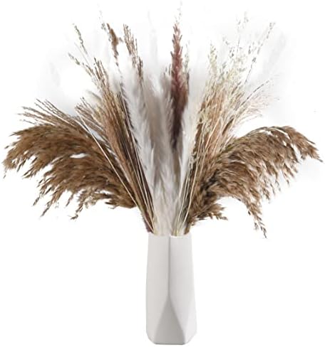 Enchanted Zittergras Briza Maxima - Getrocknete Trockenblumen Für Deko